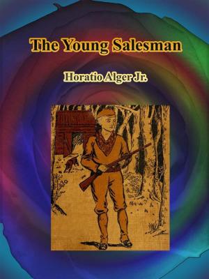 Book cover of The Young Salesman