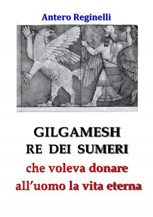 Book cover of Gilgamesh Re di Sumeri che voleva donare all'uomo la vita eterna