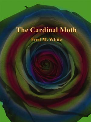 Cover of the book The Cardinal Moth by Horatio Alger