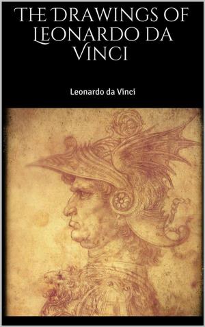 Book cover of The Drawings of Leonardo da Vinci