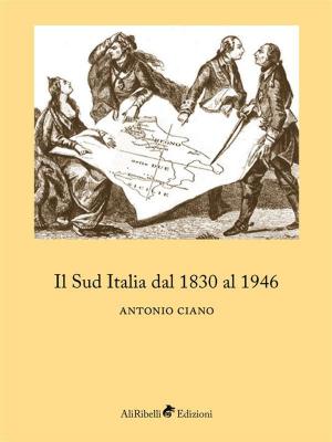 Cover of the book Il Sud Italia dal 1830 al 1946 by Federigo Tozzi