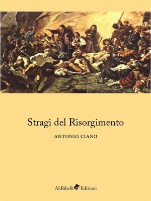 Book cover of Stragi del Risorgimento