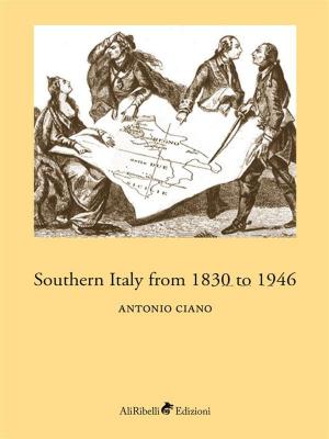 Book cover of Southern Italy from 1830 to 1946