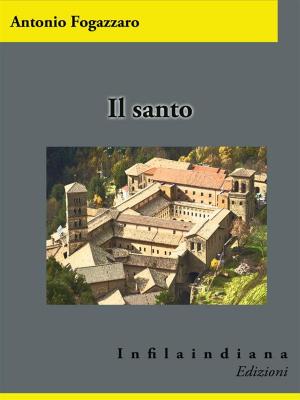 Book cover of Il santo