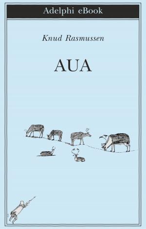 Cover of the book Aua by Jean Echenoz