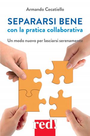 Cover of Separarsi bene con la pratica collaborativa