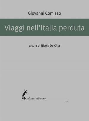 Cover of the book Viaggi nell'Italia perduta by Giuseppe De Rita Goffredo Fofi