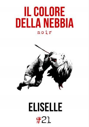 Cover of the book Il colore della nebbia by Mariel Sandrolini