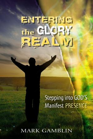 Cover of the book Entering the Glory Realm by Lennè Hunt