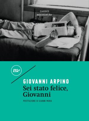 Cover of the book Sei stato felice, Giovanni by Jonathan Lethem