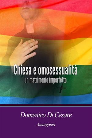 Cover of the book Chiesa e omosessualità un matrimonio imperfetto by Manuela Chiarottino