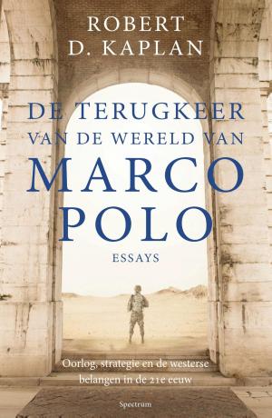 Cover of De terugkeer van de wereld van Marco Polo