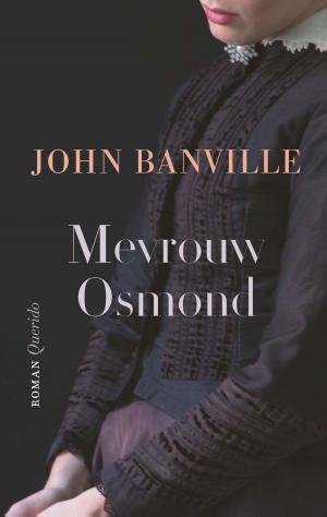 Cover of the book Mevrouw Osmond by F. Bordewijk