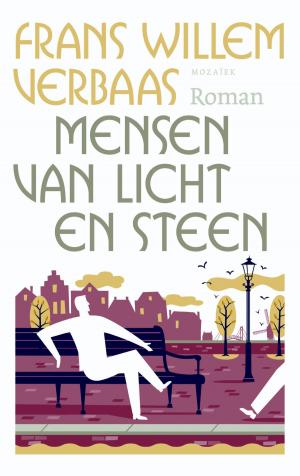 Cover of the book Mensen van licht en steen by Hans Stolp, Harm Wagenmakers