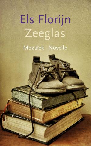 Cover of the book Zeeglas by Johan van Dorsten