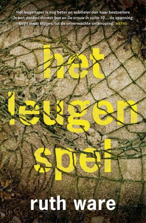 Cover of the book Het leugenspel by R. Marquez