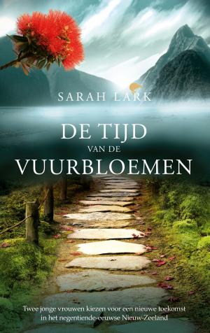 Cover of the book De tijd van de vuurbloemen by Johan van Dorsten