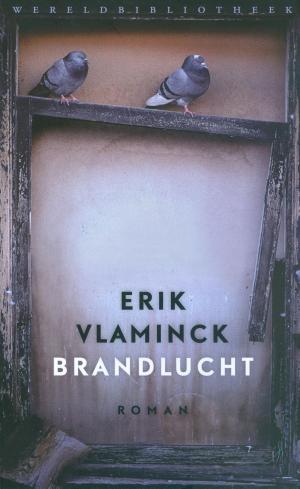 Cover of the book Brandlucht by Diane Broeckhoven