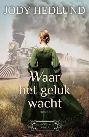 Cover of the book Waar het geluk wacht by Bram Moerland
