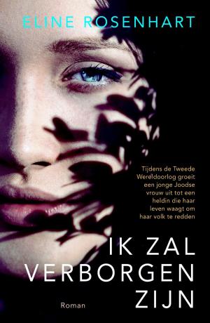 Cover of the book Ik zal verborgen zijn by Hans Stolp