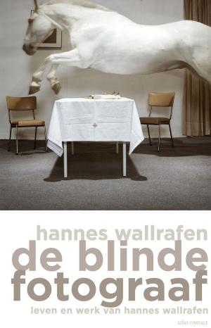 Cover of the book De blinde fotograaf by Carolijn Visser