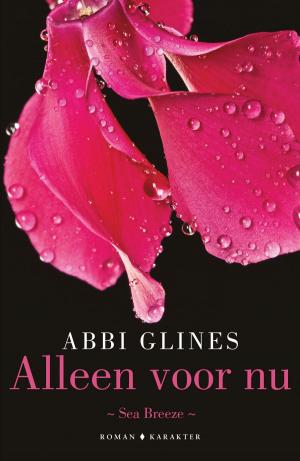 Cover of the book Alleen voor nu by André Hoogeboom