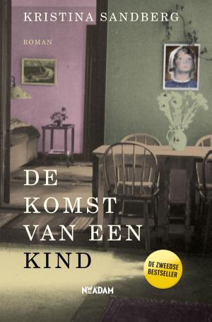 Cover of the book De komst van een kind by Jon McGregor