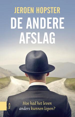 Cover of the book De andere afslag by Vincent Icke