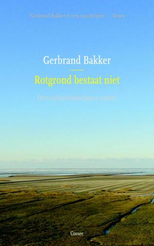 Cover of the book Rotgrond bestaat niet by Gerbrand Bakker