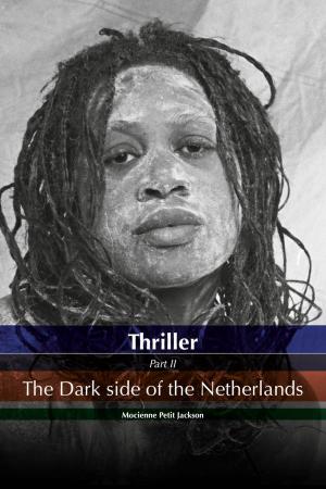Cover of the book thriller The dark side of the Netherlands by Karen Putz, Georgia Blair