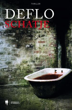 Cover of the book Schatje by Rudi Vranckx