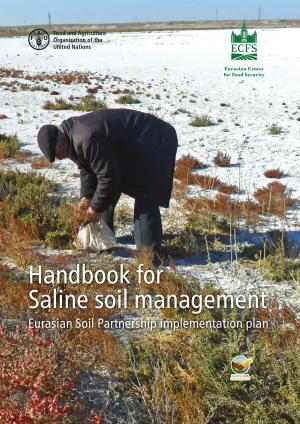 Cover of the book Handbook for Saline Soil Management: Eurasian Soil Partnership Implementation Plan by United Nations