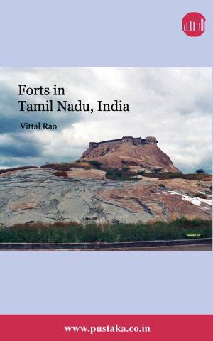 Cover of Forts in Tamil Nadu India