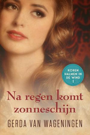 Cover of the book Na regen komt zonneschijn by Olga van der Meer