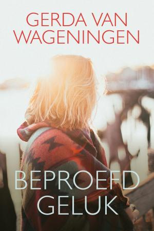 Cover of the book Beproefd geluk by Tomás Halík