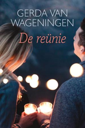 Cover of the book De reünie by Deborah Raney