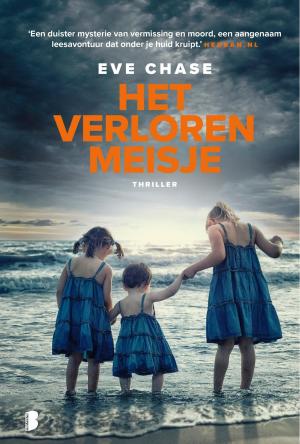 Cover of the book Het verloren meisje by DENIS BLEMONT