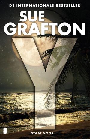 Cover of the book Y by Geoffrey Gibson