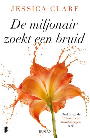 Cover of the book De miljonair zoekt een bruid by Erik Rozing