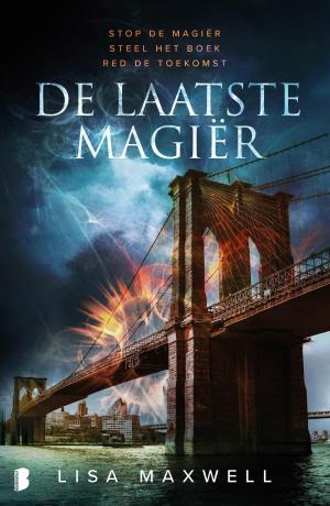 Cover of the book De laatste magiër by RaeAnne Thayne