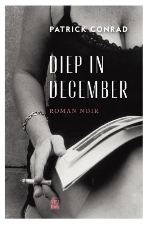 Cover of the book Diep in december by Kris Van Steenberge