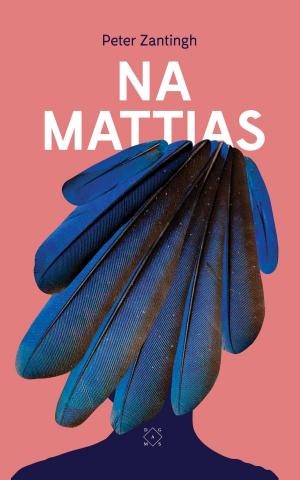 Cover of the book Na Mattias by Pieter Zwart