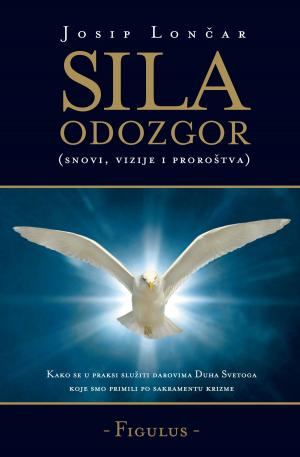 Cover of the book Sila Odozgor (snovi, vizije i proroštva) by Benjamin Reynolds