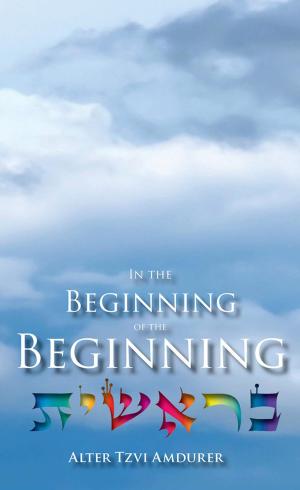 Cover of the book In the Beginning of the Beginning by Cassi Clark
