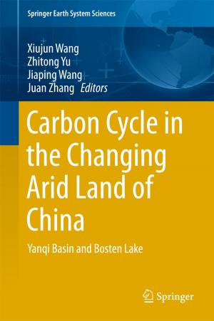 Cover of the book Carbon Cycle in the Changing Arid Land of China by Hiroshi Shimizu