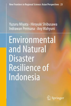 Cover of the book Environmental and Natural Disaster Resilience of Indonesia by Li Gan, Zhichao Yin, Jijun Tan