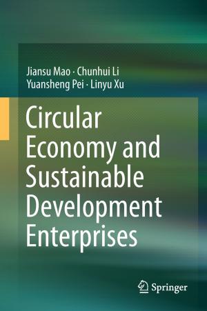 Cover of the book Circular Economy and Sustainable Development Enterprises by Renbiao Wu, Wenyi Wang, Dan Lu, Lu Wang, Qiongqiong Jia