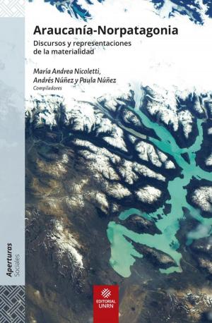 Cover of the book Araucanía-Norpatagonia by Ann L. Sittig, Martha Florinda González