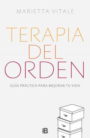 Cover of the book Terapia del orden by Marcelo Larraquy