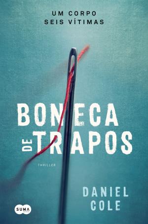Cover of the book Boneca de trapos by Christina Schmid